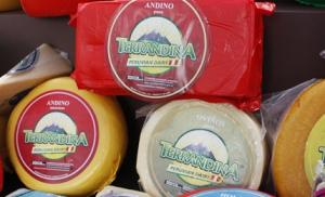 PROMOCIONAN USO DE MARCA ‘TERRANDINA’ ENTRE PRODUCTORES DE QUESO