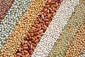 Propondrán que Perú sea sede de la Convención Mundial del GPC  el 2021