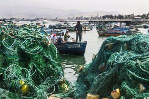 Proponen seguro para pescadores artesanales