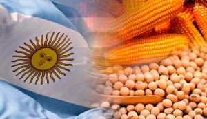 Propuesta de Milei elevaría costos de productos peruanos importados con maíz y aceite de soya