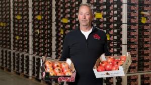 Provincias de cultivo de granadas en Perú están en transición