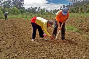 Proyecto de recarga hídrica en 14 regiones del país elevará producción agrícola en zonas vulnerables