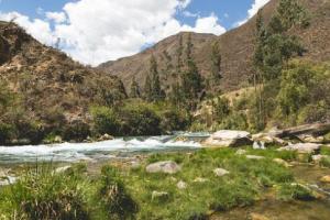 Proyecto del Minam recupera 14.800 hectáreas de espacios naturales altoandinos