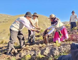 Proyecto GEF Agrobiodiversidad SIPAM ayuda a productores huancavelicanos a recuperar semillas que estaban en riesgo de pérdida y reducción