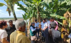 PSI alista trabajos de limpieza y descolmatación en 10 zonas agrícolas inundadas de Piura