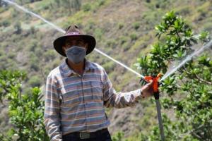 PSI capacitará en sistemas de riego a 952 agricultores de Cajamarca y Ayacucho
