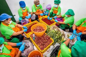 PUM busca acercarse con asesorías gratuitas a más organizaciones agrícolas peruanas