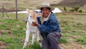 Puno: Minedu otorgará certificación a ganaderos en Lampa