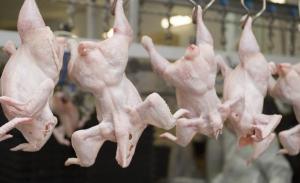 ¿Qué es el pollo clorado y por qué se permite su venta en EE.UU., mientras que Europa lo rechaza?