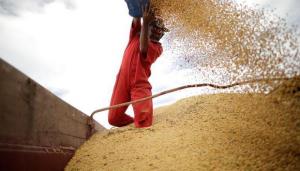Rabobank eleva previsión para cosecha de soja de Brasil y proyecta nueva alza en periodo 2021-2022