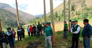 Realizarán pasantía técnica para conocer el cluster foresto-industrial en la selva central
