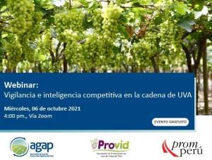Realizarán webinar sobre “Vigilancia e inteligencia competitiva en la cadena de uva”