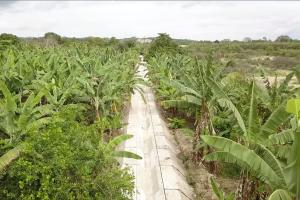 Reconstruyen el emblemático canal de riego Tres Cruces en Tumbes