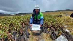Reforestan 137 hectáreas en zonas altoandinas de Apurímac