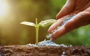 Reglamento de fertilizantes ayudará a formalizar el sector