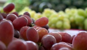 Reporte de la FDA: ¿qué productos peruanos vinculados a la agroexportación fueron rechazados en los últimos meses en el mercado de EE.UU.?