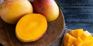 Retos y desafíos agronómicos del mango mexicano