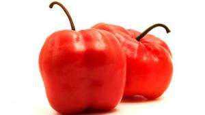 Rocoto de Huancavelica conquista mercados de Estados Unidos y Europa