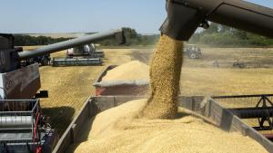 Rusia suspende sus exportaciones de cereales