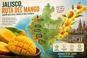 Ruta del Mango: la apuesta de Jalisco para unir turismo, gastronomía y exportación agrícola