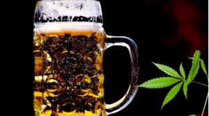 Sacarán a la venta primera cerveza sin alcohol a base de cannabis en Estados Unidos