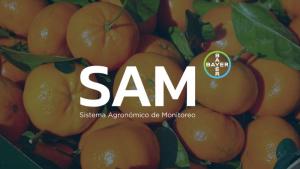 SAM: Programa de monitoreo y trazabilidad que permite a productores de cítricos tomar decisiones adecuadas en tiempo real
