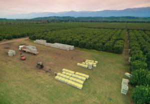 San Miguel adquiere Andean Sun Produce, empresa del grupo La Calera