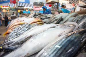 Sanipes brinda recomendaciones para reconocer el pescado fresco y en buen estado en este verano
