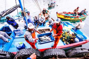 Sanipes implementará reglamento sectorial de inocuidad que respalda la industria pesquera y acuícola ante mercados internacionales