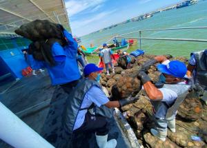 Sanipes toma urgentes acciones para disminuir consecuencias del ciclón Yaku en acuicultura y pesca artesanal
