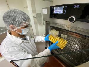 Sanipes tomó más de 1.700 muestras en especies de la acuicultura para evaluar resistencia a antimicrobianos