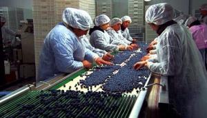 Se alista el ingreso de 1<span class='highlight'>9</span>0 productos agrícolas a mercados internacionales