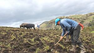 Se amplía atención en 364 lugares para entrega de subvención a 300 mil agricultores