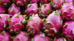 Se debe tener cuidado con las expectativas comerciales de la pitahaya