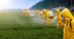 Se dispara la presencia de pesticidas tóxicos en frutas y verduras en Europa