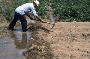 SE DUPLICAN SALARIOS POR FALTA DE MANO DE OBRA EN LA COSTA