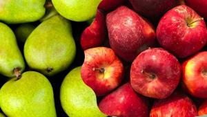 Se espera menos producción de manzanas y peras en Europa este año