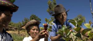 SE HA PRIORIZADO A LOS GRANDES OPERADORES ECONÓMICOS DEJANDO DE LADO A LA PEQUEÑA AGRICULTURA