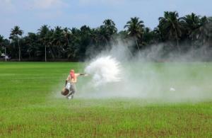 Se incrementó la importación de urea durante el primer trimestre del año