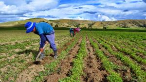 Se trabaja en nueva Ley de Promoción Agraria y cambios al FAE AGRO para ampliar su vigencia