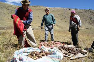 Se viene el Encuentro Nacional del Sistema de Garantía Participativo
