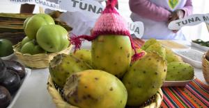 Se viene el XXIV Festival Nacional de la Tuna, Cochinilla y Plantas Nativas 2024