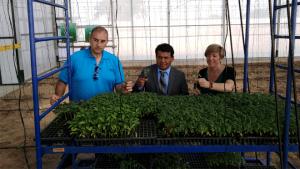 Sechura: inauguran invernadero para beneficio de estudiantes y campesinos