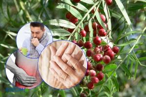 Secretaría del Convenio de Diversidad Biológica otorga certificado internacional al primer contrato de acceso a recursos genéticos suscrito por INIA