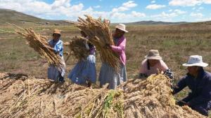 Sector agropecuario de Perú creció 5.4% entre enero y mayo