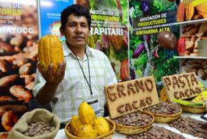 Sector cacaotero peruano mostró enorme capacidad de resiliencia durante la pandemia