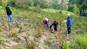 Seguro Agrícola Catastrófico prevé cobertura de 8.000 hectáreas en Ica