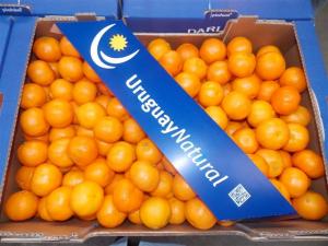 Senasa establece requisitos fitosanitarios a la importación de fruta fresca de cítricos de origen y procedencia de Uruguay