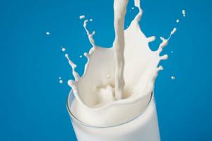Senasa y Digesa garantizarán que leche evaporada use leche fresca