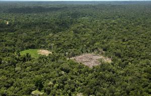 Serfor alerta que cambio en clasificación de tierras y reglas sobre uso de actividades agropecuarias puede provocar deforestación en la Amazonía peruana